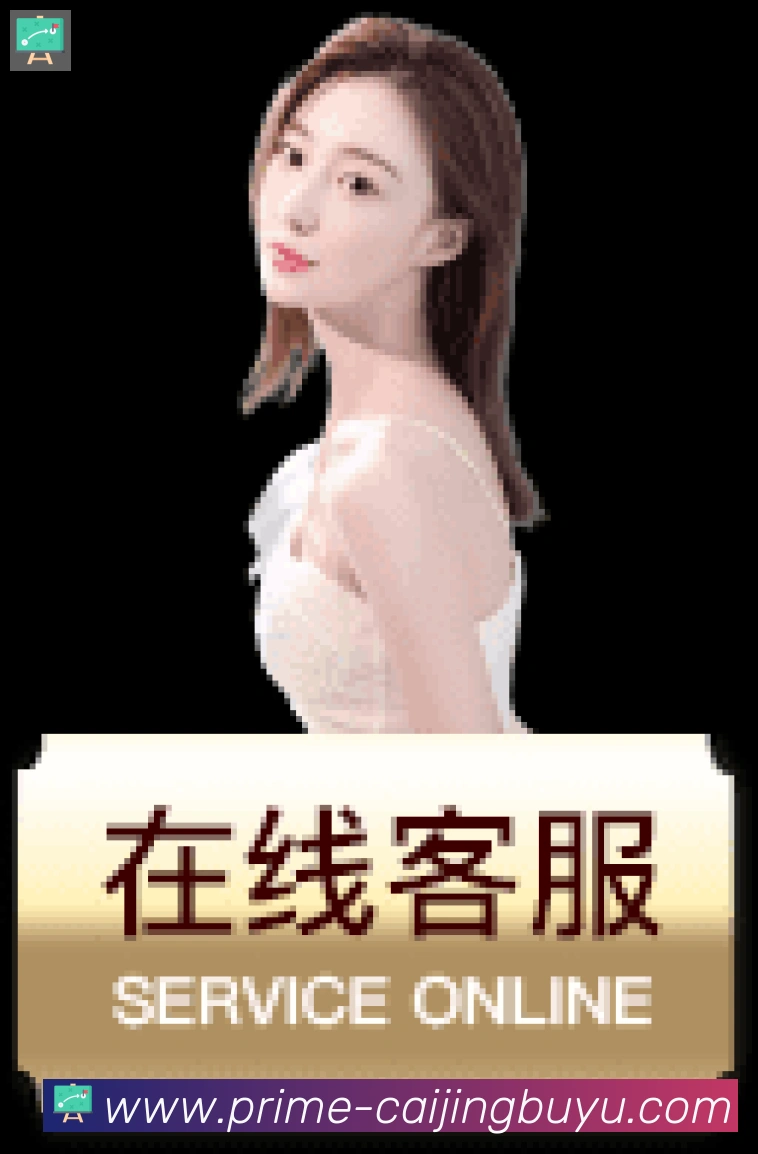 未来规划
